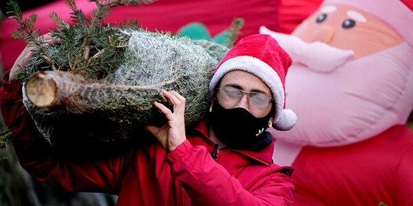 Коронавирус в мире в цифрах: где пандемия унесла больше всего жизней 0