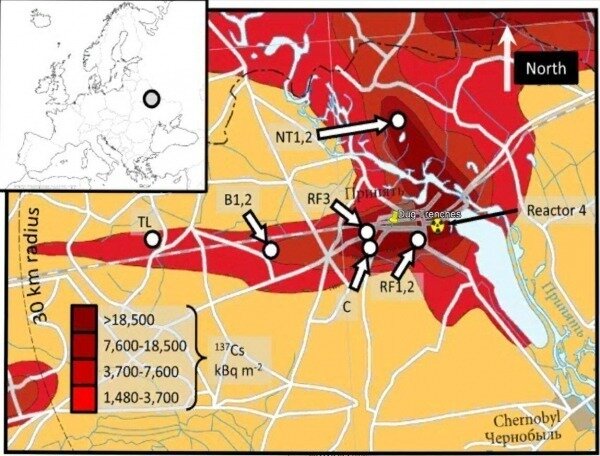 Подробности о Рыжем лесе - месте, где были россияне 1