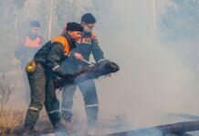 ВНИИ ГОЧС предупредил об угрозе лесных пожаров на Дальнем Востоке