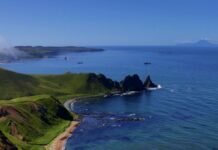 У побережья Курил произошло землетрясение