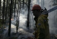 Глава Якутии заявил о снижении количества пожаров в регионе