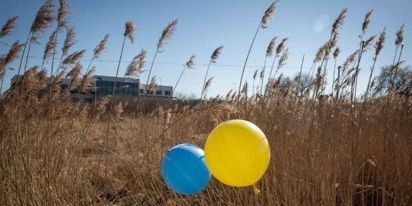 Украина: договоренностей о разблокировании Черного моря нет0