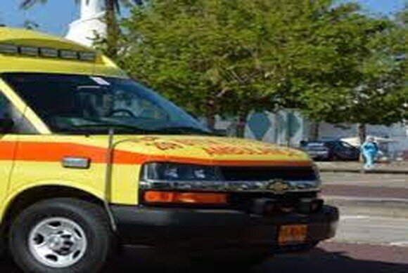 В Мигдаль ха-Эмек змея укусила подростка 0