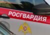 Росгвардия в Петербурге спасла застрявшего под капотом котенка