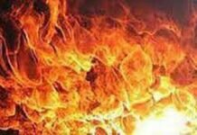 На острове Лесбос сильный пожар, отдыхающих эвакуировали