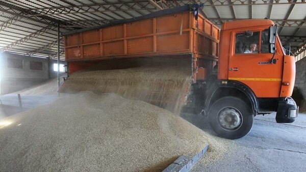 США поддержали предстоящее соглашение по экспорту зерна0