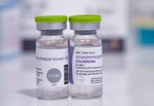 Ребенок, умерший при лечении СМА, выиграл препарат в лотерею