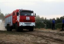 В Рязанской области бульдозеры прокладывают дороги к лесным пожарам