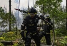 В России за сутки потушили 80 природных пожаров