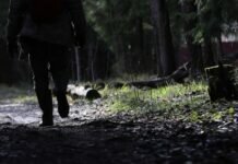 В Мордовии ввели запрет на посещение лесов