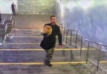 Украденный в Москве квартирным вором шпиц перенес шок