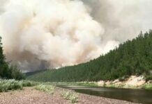 Лесопожарные службы потушили за сутки 83 природных пожара