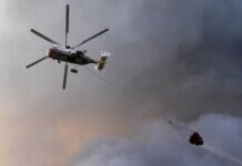 Лесопожарные службы за сутки потушили 53 природных пожара