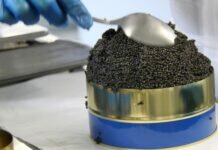 В Казахстане пресекли контрабанду ста килограммов черной икры в Россию