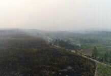 В Рязанской области выросла площадь природных пожаров