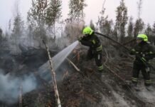 Открытого горения в лесах Рязанской области нет, заявил вице-премьер