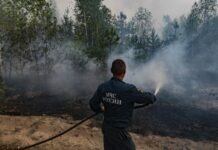 Лесные пожары в Рязанской и Нижегородской областях не угрожают домам