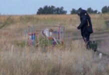 В Волгоградской области предотвратили готовившийся Киевом теракт