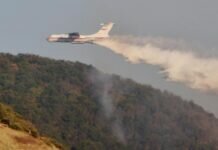 Площадь пожара в Ростовской области выросла до 124 гектаров