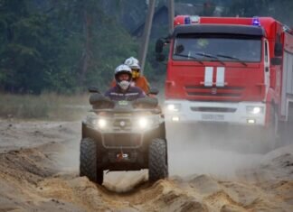 Пожар в Рязанской области в целом локализован, заявил Григоренко