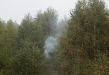 В Ивановской области локализовали природный пожар