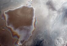 Росприроднадзор проверит информацию о разливе нефти в Приморском крае