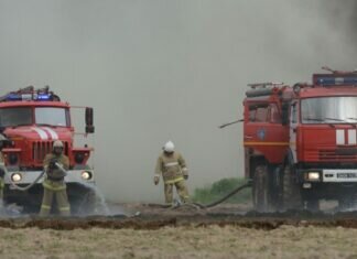 В Центральном федеральном округе в лесах нет торфяных пожаров