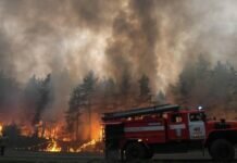 Лесопожарные службы потушили за сутки 51 природный пожар