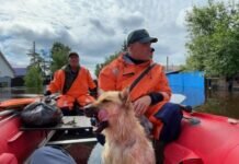 В Приамурье с территории жилых домов и мостов ушла вода