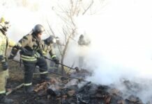 МЧС возбудило уголовное дело после пожара в Рязанской области