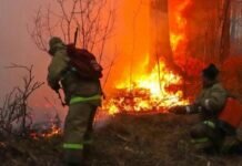 Обстановка с крупным пожаром в Ростовской области стабилизировалась