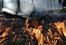 Самолеты ВКС сбросили на пожары в Рязанской области 126 тонн воды