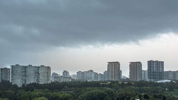 Москвичей предупредили о сильной грозе и ветре до 17 м/с в ближайшие часы0