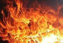 Подозрение на поджог: возле Бейтар-Илита вспыхнул пожар