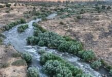 Уровень воды в священной реке Иордан сократился из-за конфликта в регионе