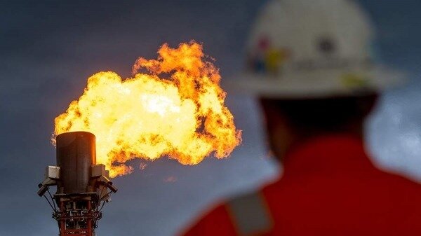 В ОПЕК заявили о непричастности к росту цен на газ и нефть0