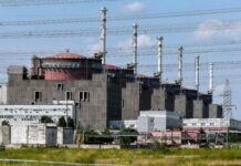 В Запорожье зачистку правого берега Днепра назвали гарантией безопасности ЗАЭС