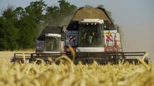 Эрдоган и генсек ООН обсудили экспорт российского зерна на международные рынки0