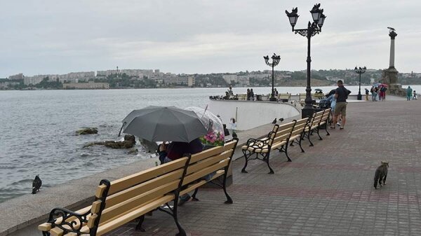 Вильфанд спрогнозировал сильный дождь и ветер в Крыму и Приморье0