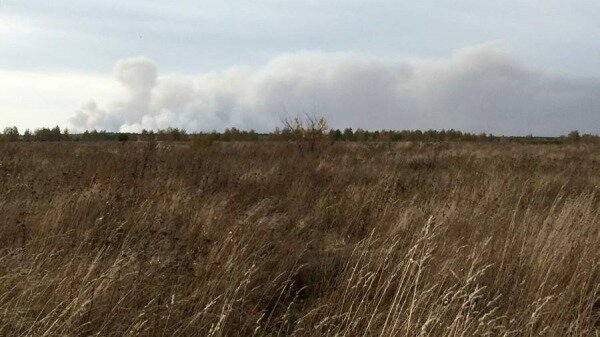 Власти Запорожья обвинили ВСУ в целенаправленных поджогах полей с пшеницей0